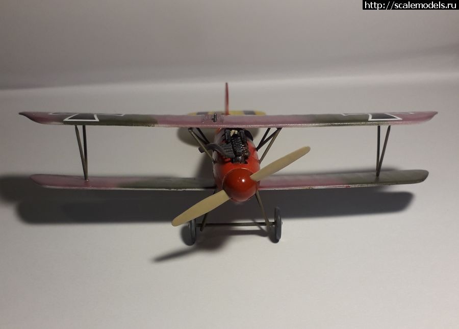 1673019588_albatros8.jpg : #1768067/ Albatros D.V. Eduard 1:72 ��������� ������ ������� ����