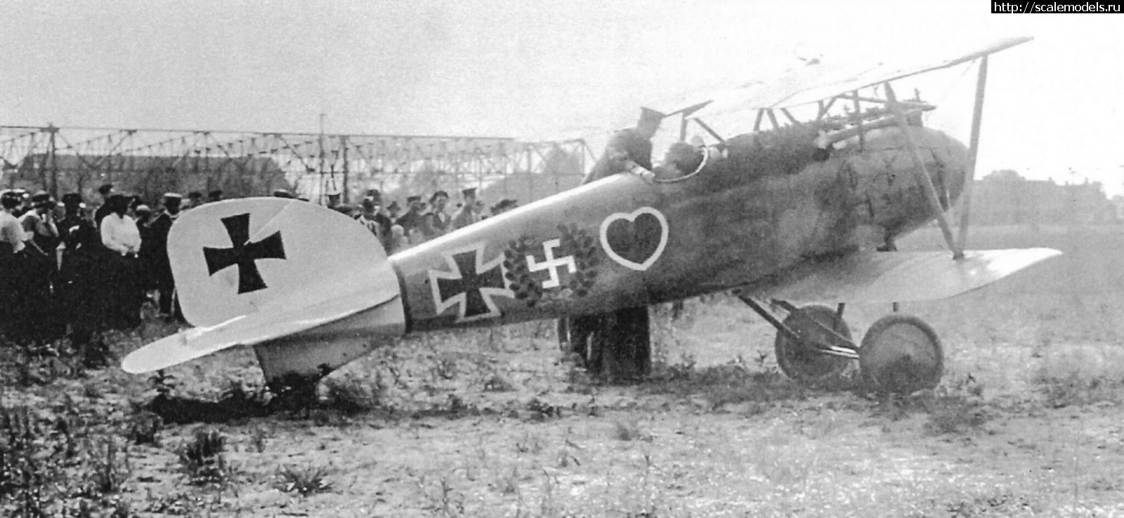 1673965765_1JIvofr.jpeg : #1769736/ Albatros DIII  , Roden 1/32  