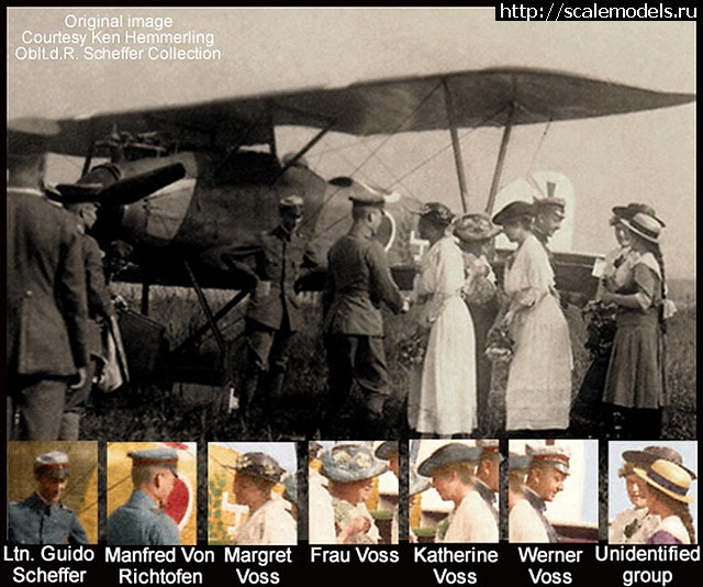 1673965771_post-10763-0-73186800-1328471695.jpg : #1769736/ Albatros DIII  , Roden 1/32  