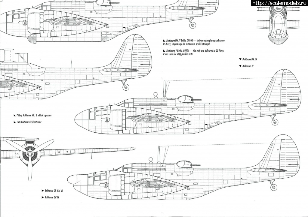 1683133853_5.jpg : #1785268/ Martin Baltimor V  