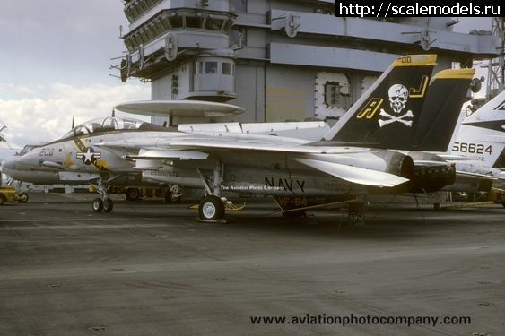 1684169100_f48e6dc6f280820201c0753802721815.jpg : #1786713/ F-14 Tomcat  Jolly Rogers ( )  
