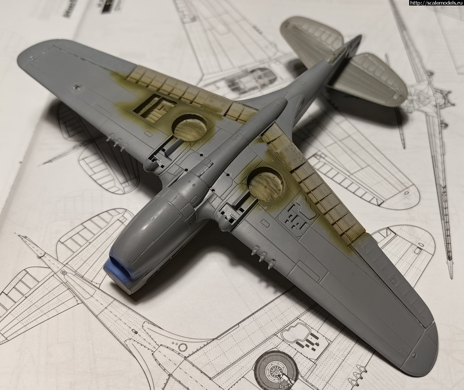 1691605931_IMG_20230809_232000_edit_235826118047225.jpg : #1796367/ Kittyhawk Mk.Ia 1/72 special hobby   