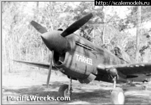 1692214531_45.jpg : #1796966/ P-40 Warhawk/Tomahawk/Kittyhawk -     