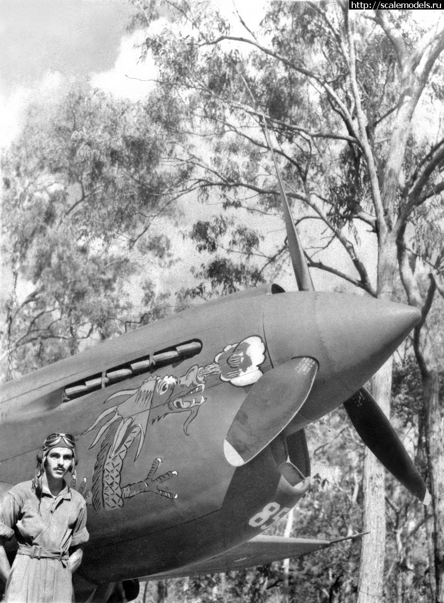 1692301317_49th-FG-9th-FS-Preddy-s-P-40E--85--Tarheel-2.jpg : #1797123/ P-40 Warhawk/Tomahawk/Kittyhawk -     