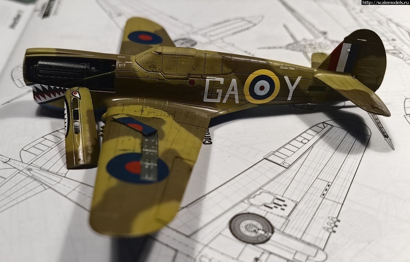 1694437392_IMG_20230911_175538_edit_334611360750271.jpg : #1799841/ Kittyhawk Mk.Ia 1/72 special hobby   