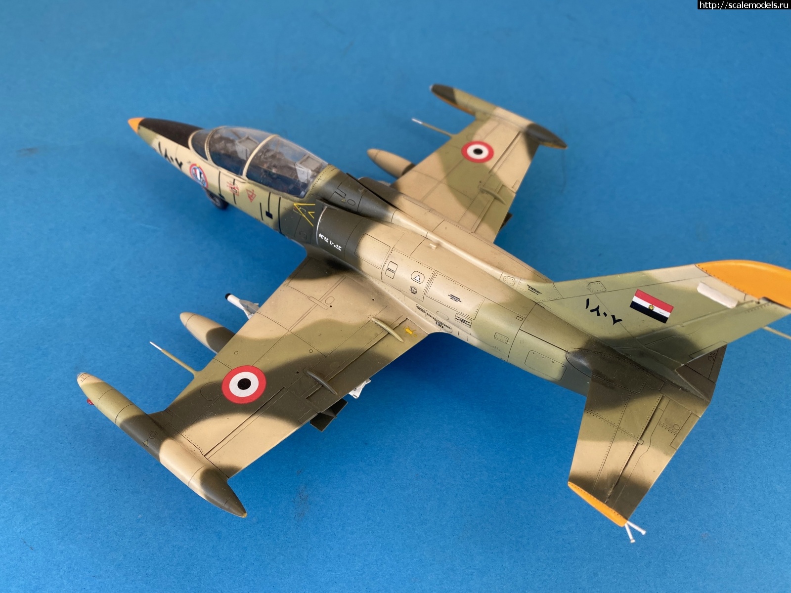 1698796235_image-13-10-23-04-25-3-heic.jpg :   , 1/48,     