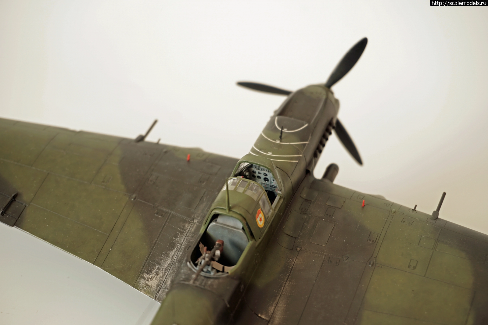 1699995352_198715B1-309C-474A-B15E-F4AF86FA5F60.png : #1807126/ ���������� �������� �����-����� ����...(#15998) - ���������� ������� ����