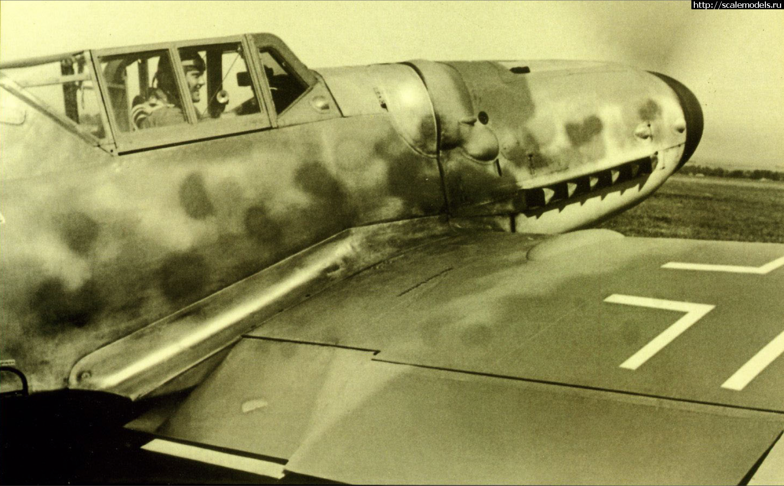 1701278156_primer-granicy-kamufljazha-jerla.png : #1808440/  Bf 109G-6  Tamiya 1/72     