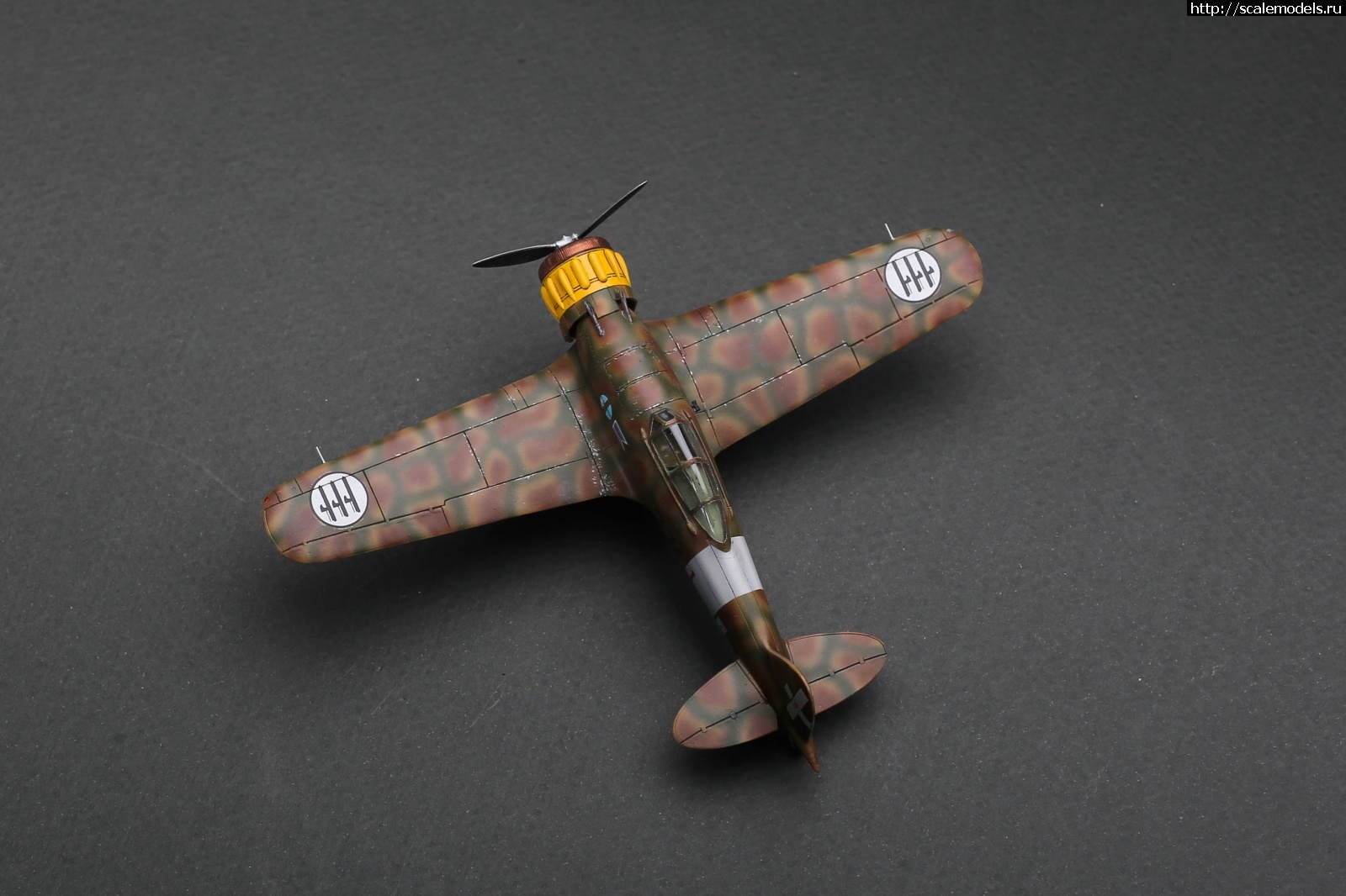 1705429183_235B9936.jpg :       1/72 .3  