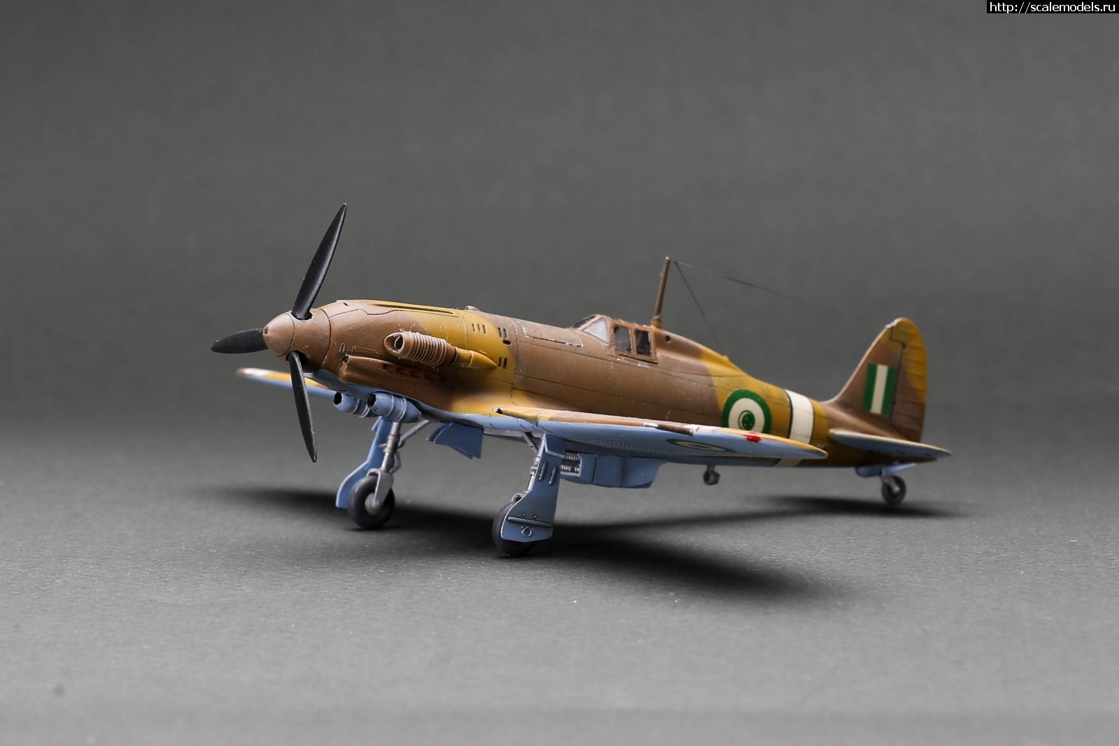 1705429387_235B9924.jpg :       1/72 .3  