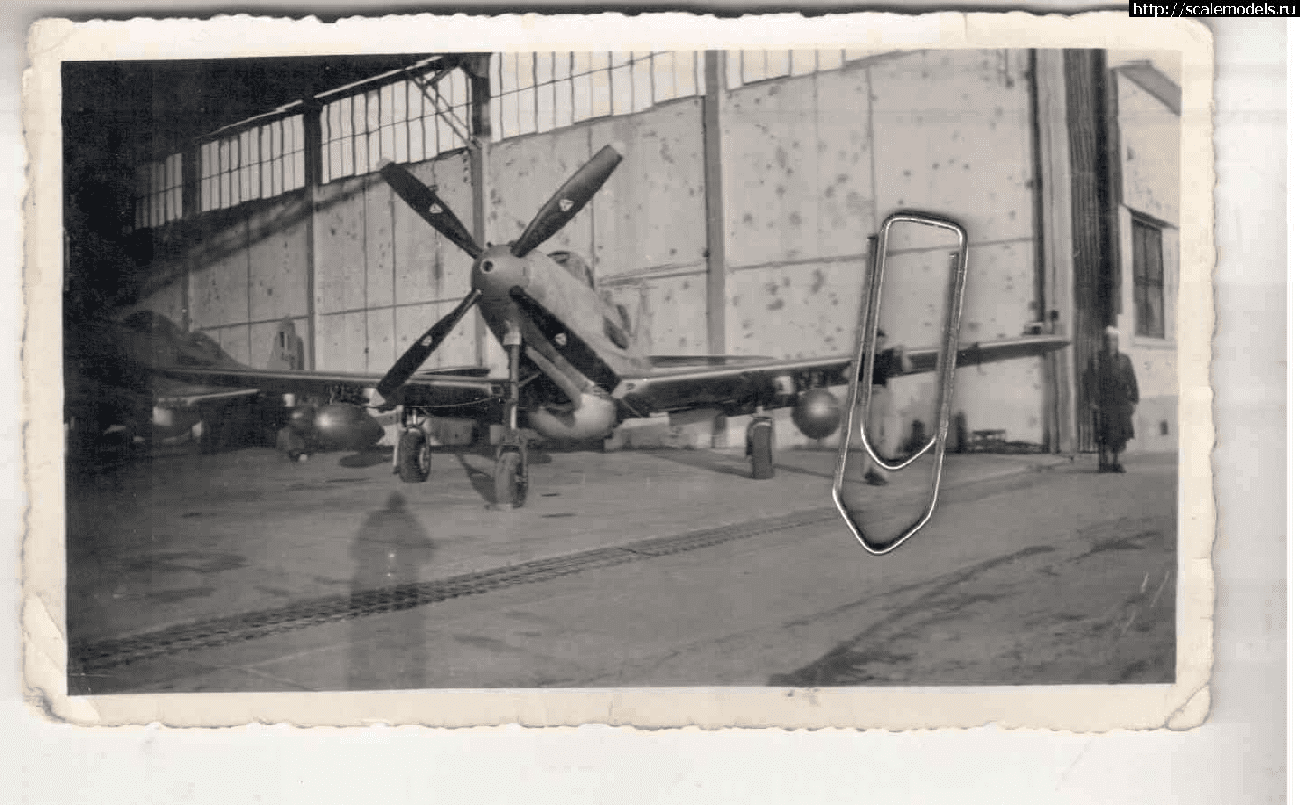 1708685730_IMG_0631.png : #1820753/ P-63C 1/72  Dora wings !  
