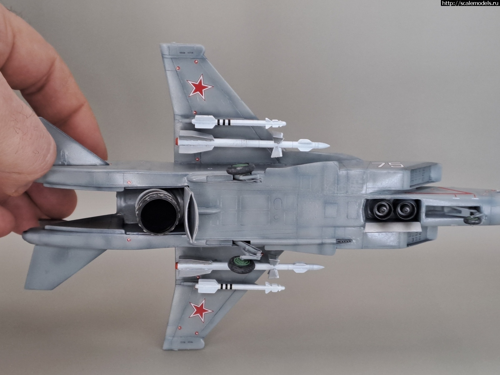 1709444829_20240303_080933.jpg : #1822014/ -141 Art model 1/72   