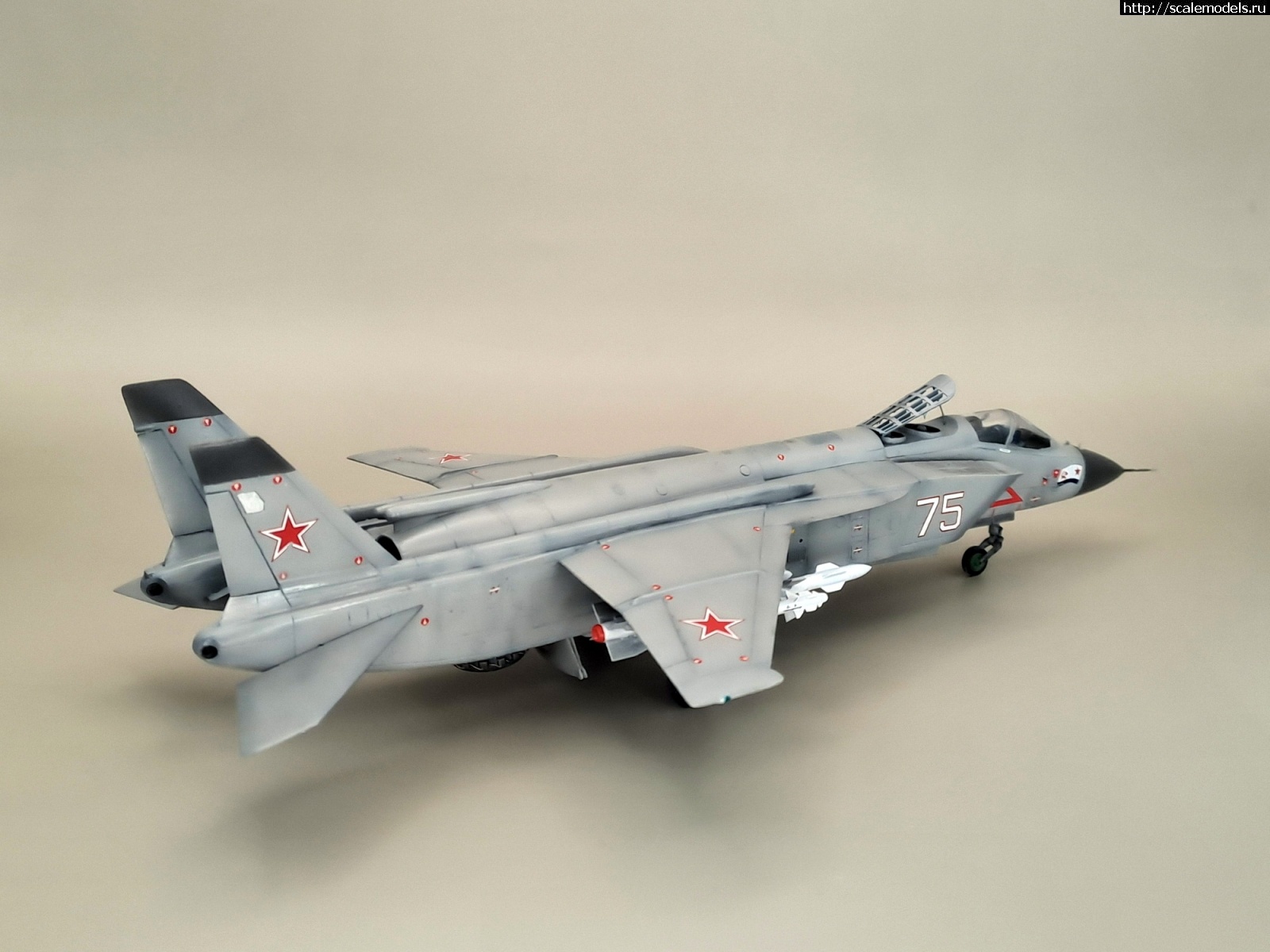 1714927478_20240505_160438.jpg : #1831249/ -141 Art model 1/72   