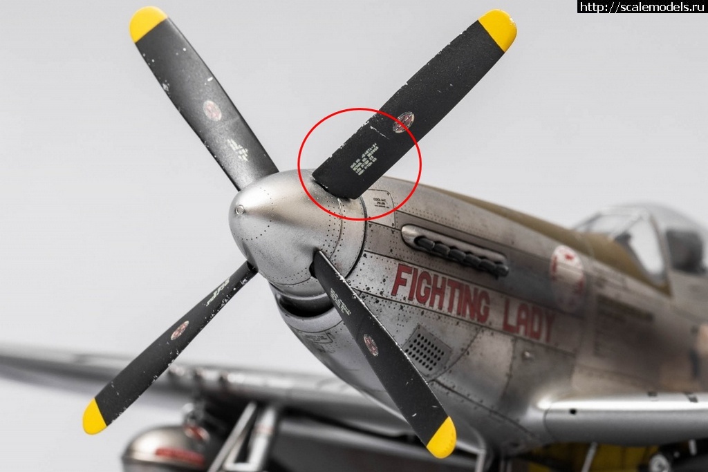 1716188532_1716187183_3C7A0789.jpg : #1833380/ P-51D Mustang 1/48 Eduard -   