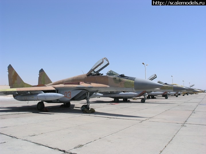 1716879687_tn-9-13-P7251231-1.jpg : 115       