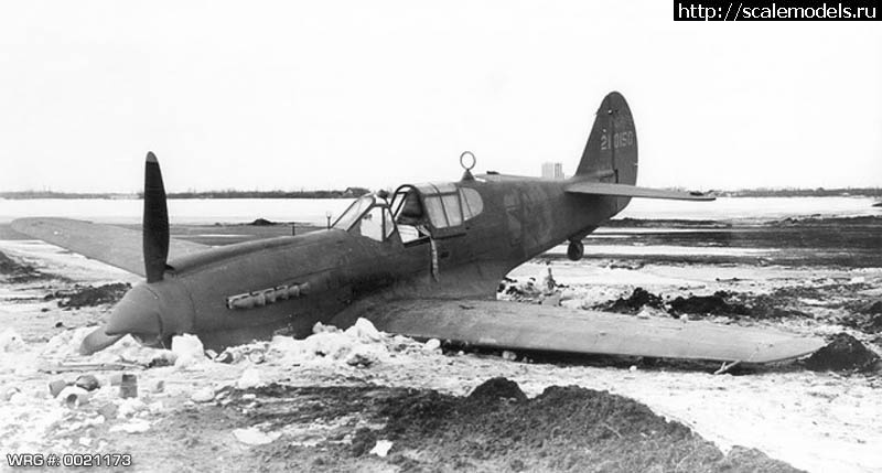1716884477_p40k-42-10150-was-diverted-to-U-S--Army-Air-Force-on-January-11-1944.jpg : #1834486/ Hasegawa 1:72 Curtiss P-40N ..   