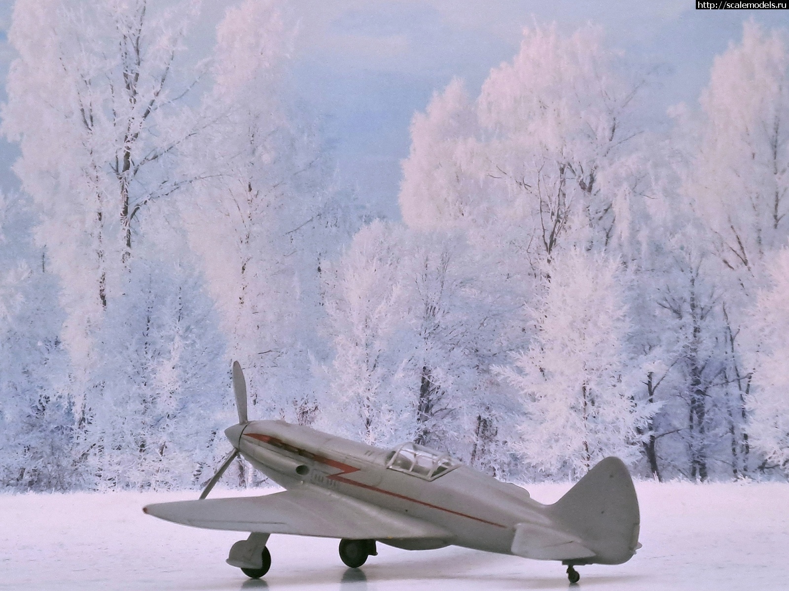 1722186262_20240728_192121.jpg : #1841331/ DFM models �-200 ������ �������� ������� ����