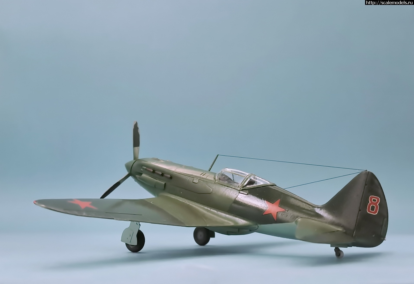 1722186361_20240728_191531.jpg : #1841332/ DFM -1  