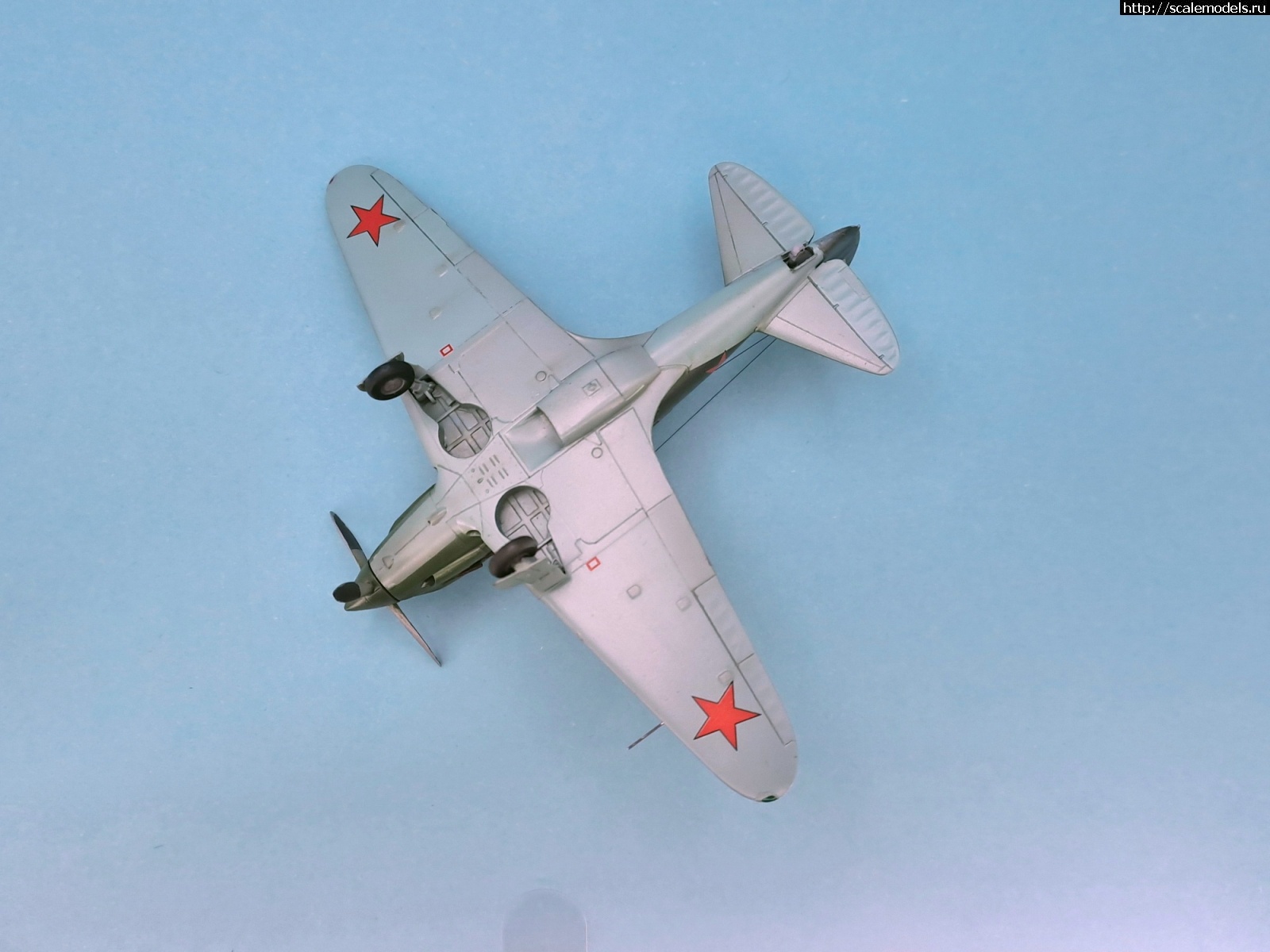 1722186371_20240728_191742.jpg : #1841332/ DFM -1  