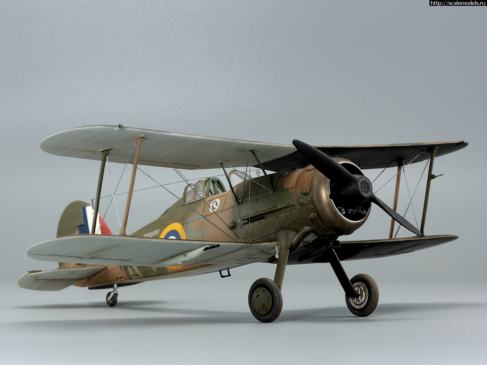 1725336249_IMG_5607g.JPG : #1845628/  Gloster Gladiator Mk.I  1/48  Roden  