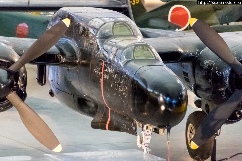 1725729801_web89.jpg : #1846203/ -61 Black Widow -     