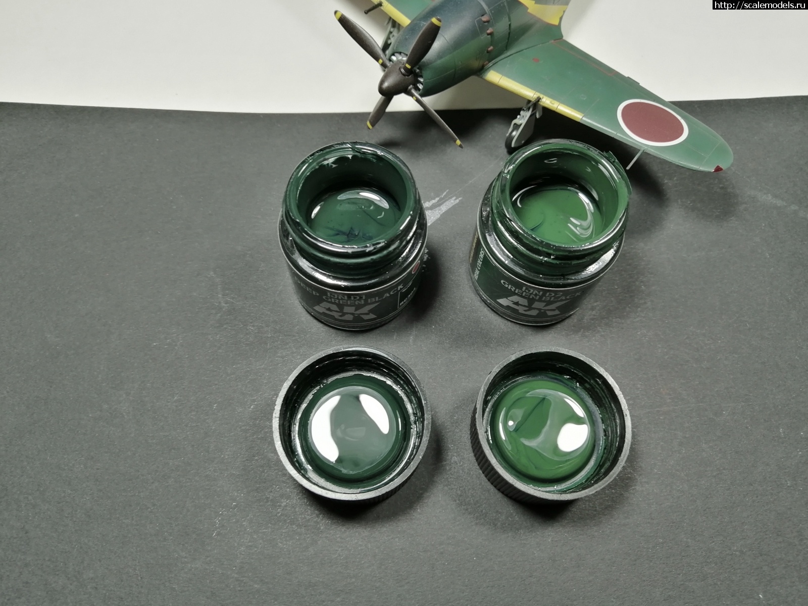 1731987296_IMG_20241118_143028_edit_600111595127179.jpg : #1855744/ B5N2 Border model 1/35  