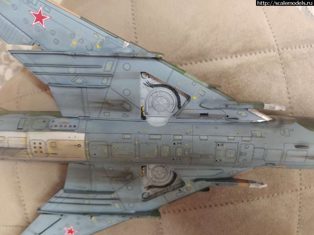 1733588641_IMG_20241207_191856.jpg : #1858035/ A.M.U.R.Reaver   -173/...(#16246) -   
