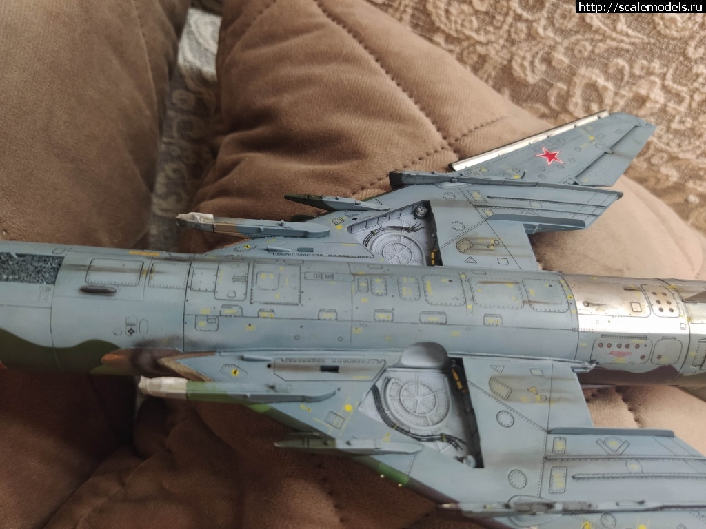 1733589664_IMG_20241207_1930252.jpg : #1858035/ A.M.U.R.Reaver   -173/...(#16246) -   