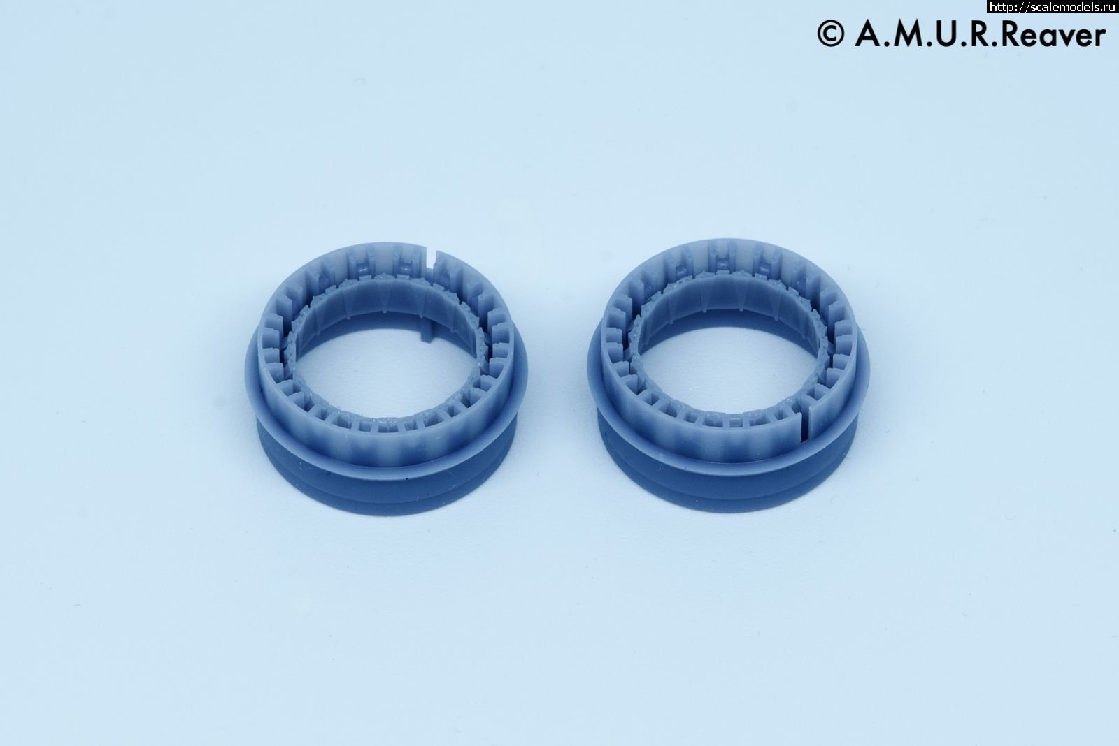 1737118552_3D4854-3.jpg :   