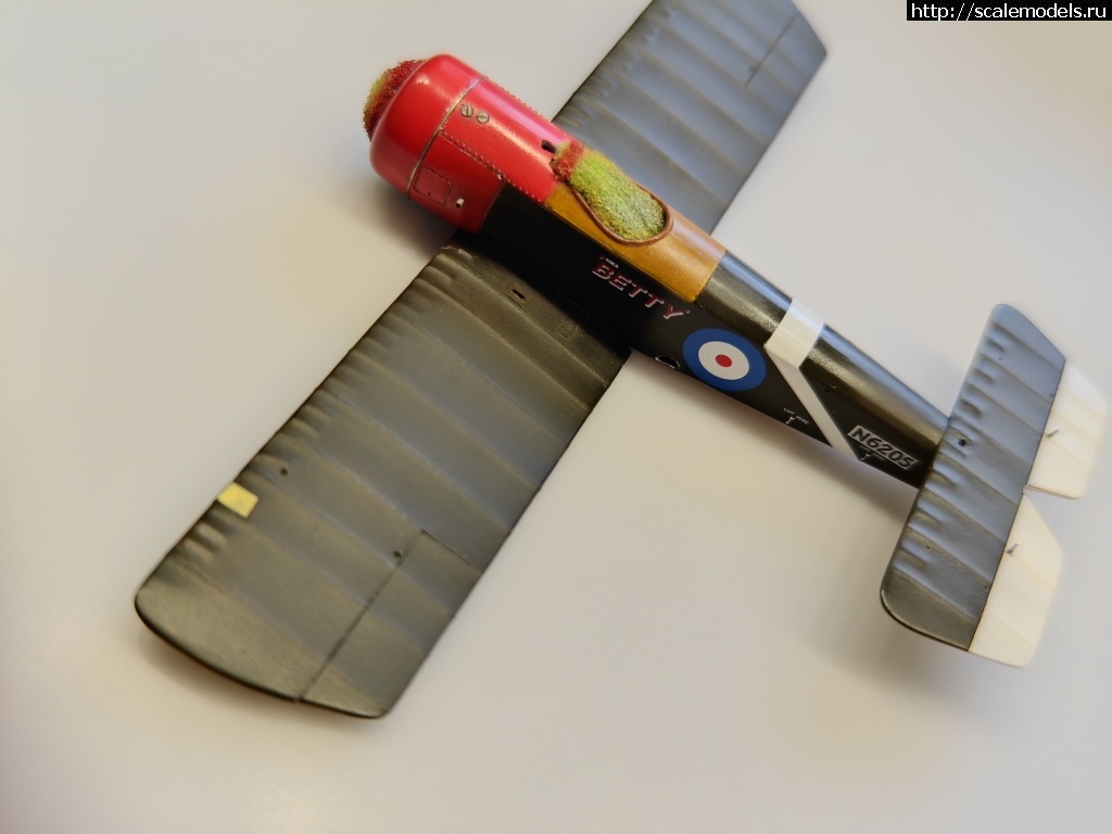 1737385086_IMG_20250120_153214.jpg : #1864367/ Sopwith pup 1/48 Flashback !  