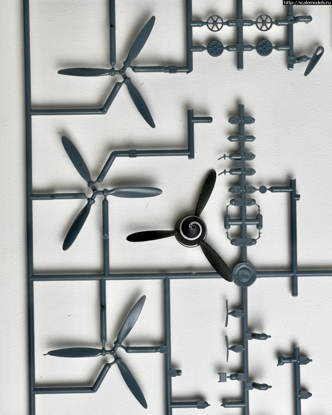 1739289281_IMG_8089.jpg : #1867382/ Bf109G-10 Erla 1/48 Eduard   