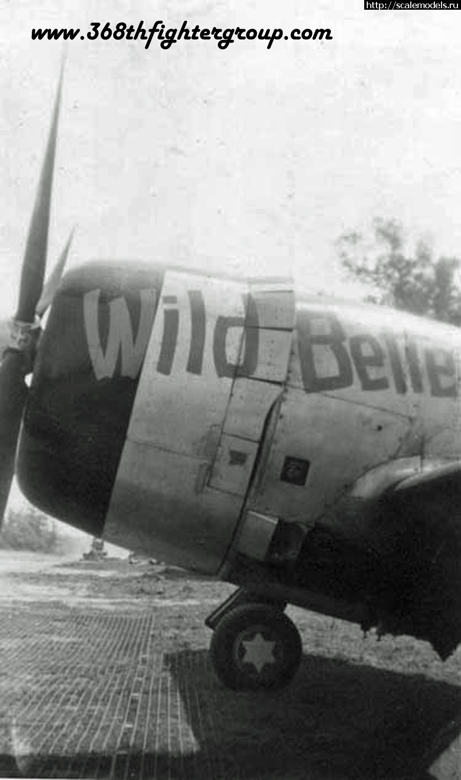 1739381299_w-395-kik-wb-3.jpg : P-47D-22 Tamiya 1/48  
