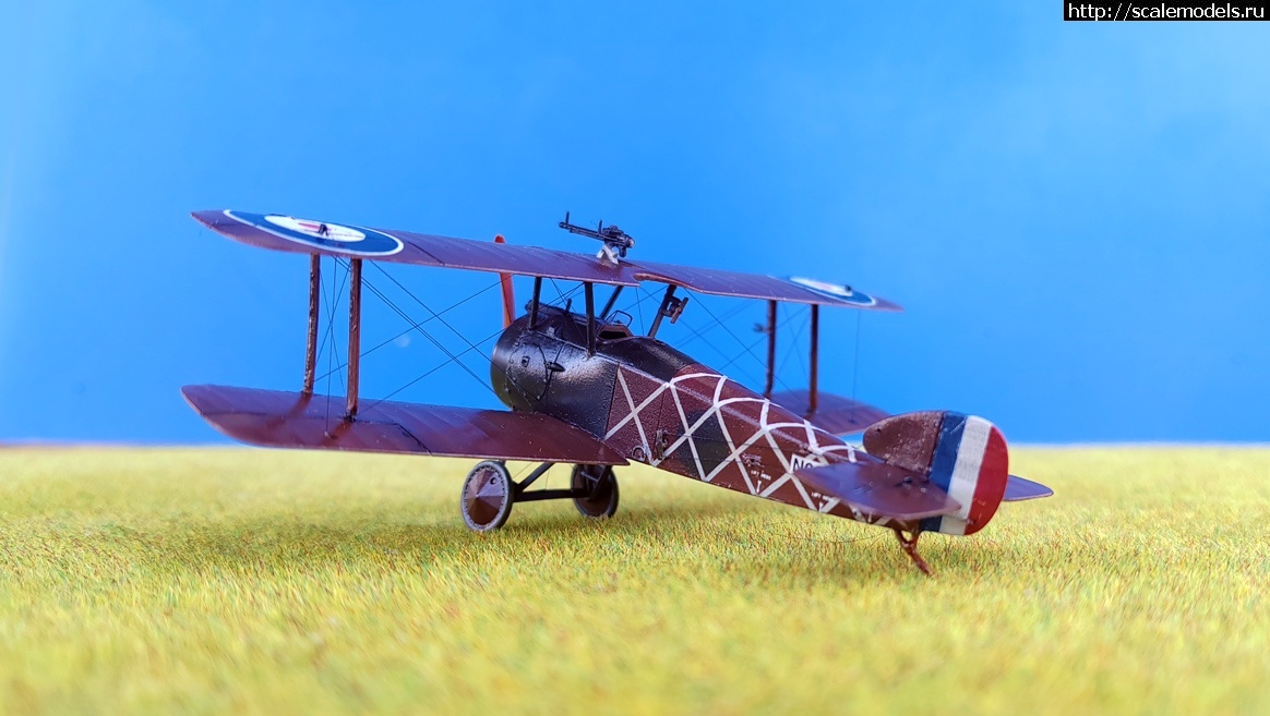 1739725501_1731232385_IMG_20241110_104321.jpg : Group Build:  -4   1/72  