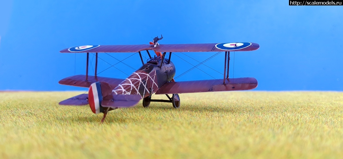 1739725502_1731232393_IMG_20241110_104327.jpg : Group Build:  -4   1/72  