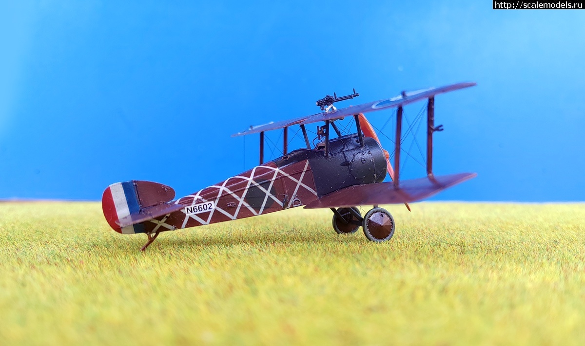 1739725502_1731232399_IMG_20241110_104345.jpg : Group Build:  -4   1/72  