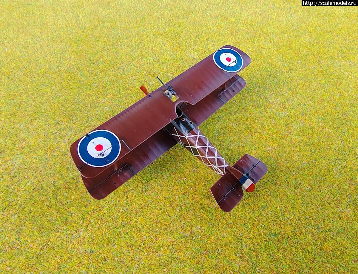 1739725504_1731232438_IMG_20241110_104554.jpg : Group Build:  -4   1/72  
