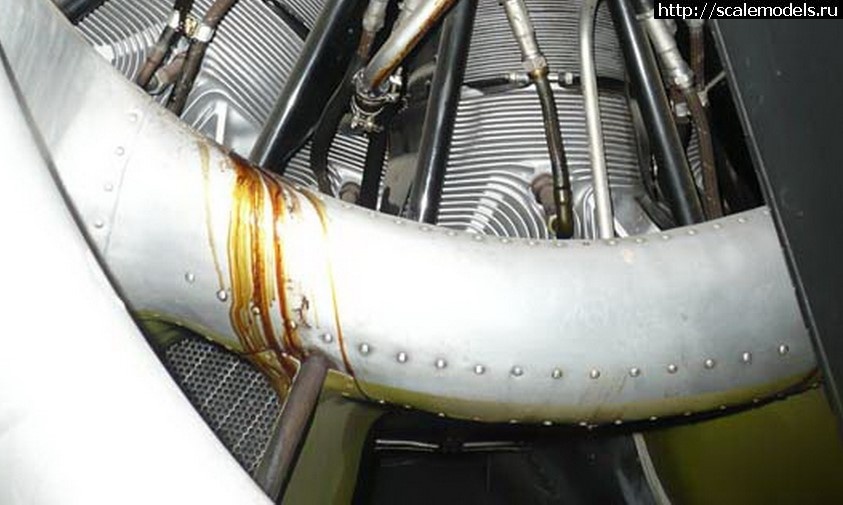 1739742969_1-1.jpg : #1868050/ P-47D-22 Tamiya 1/48  