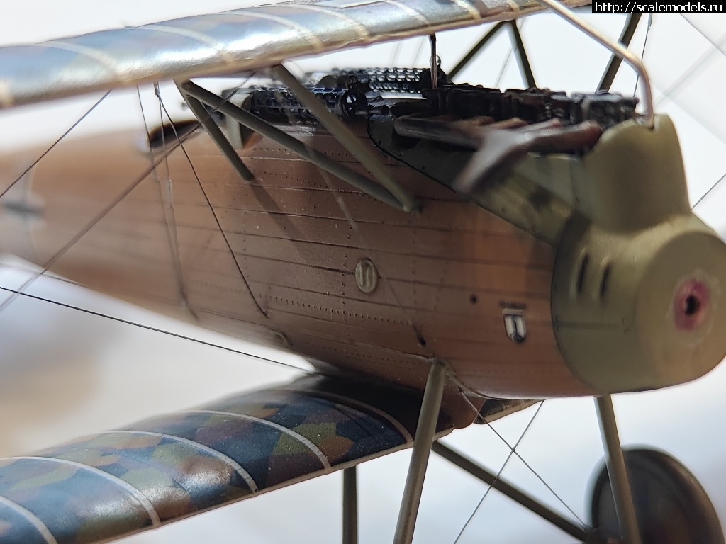1742399411_IMG_20250319_182118.jpg : #1872229/ Roland D.IVb 1/48 FLY !  