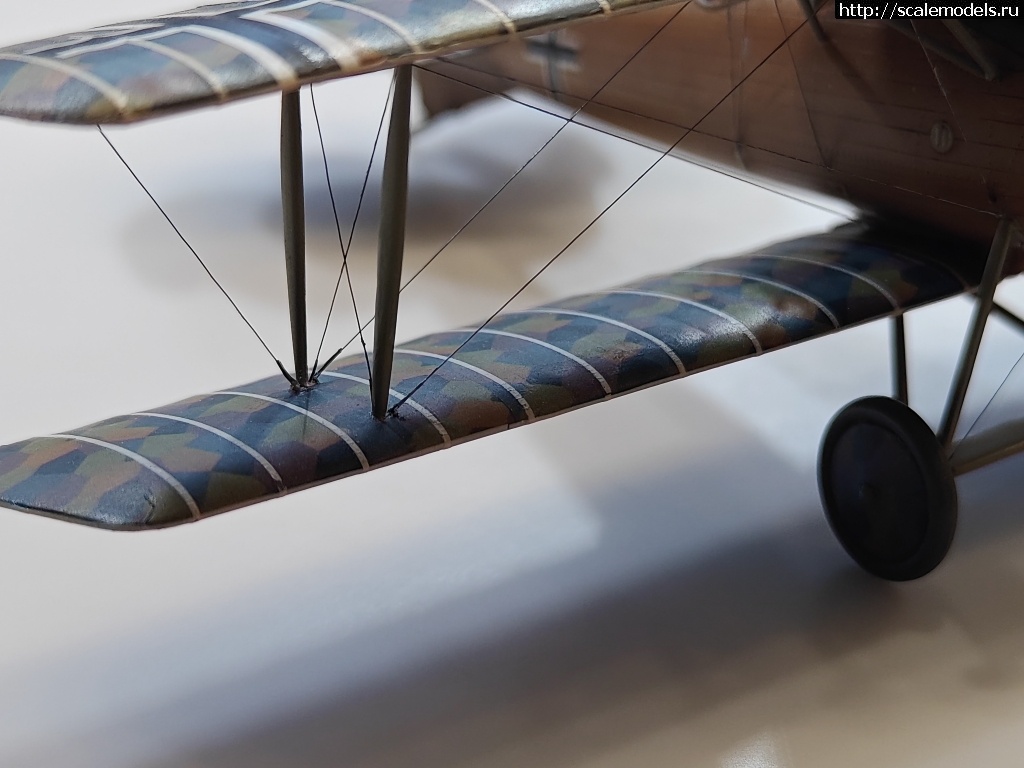 1742399414_IMG_20250319_182127.jpg : #1872229/ Roland D.IVb 1/48 FLY !  