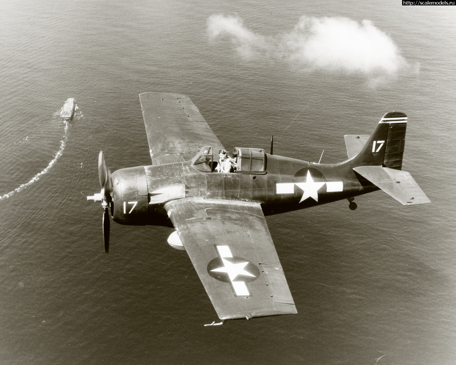 1742831182_FM-2-Wildcat-VF-26-White-17-is-in-flight-off-Leyte-PI-CVE-29-USS-Santee-20th-Oct-1944-80-G-287594.jpg : #1872705/ Eduard 1/48 FM-2 Wildcat  