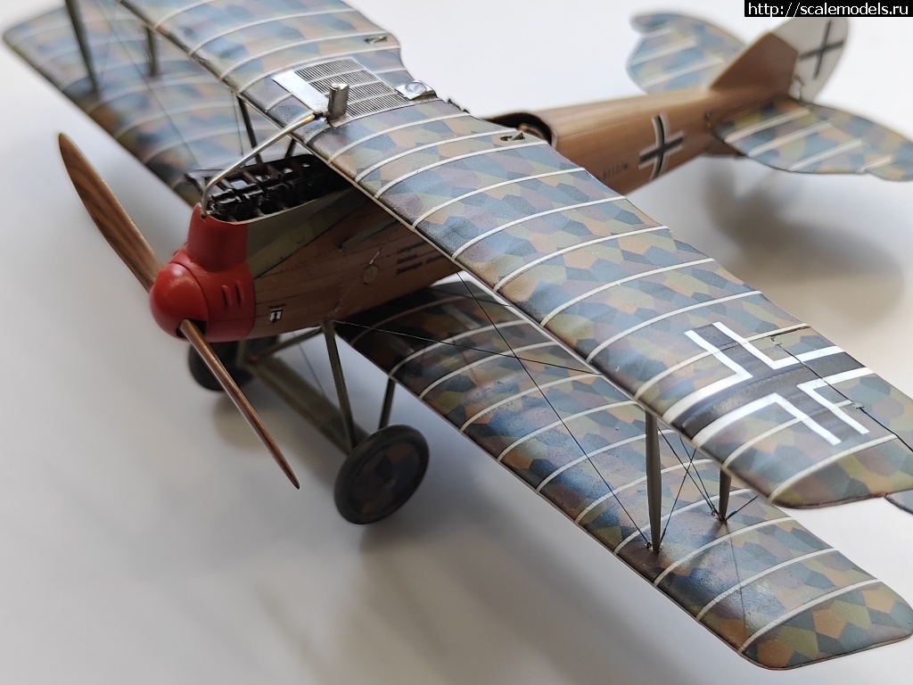 1742903496_IMG_20250324_164537.jpg : #1872803/ Roland D.IVb 1/48 FLY !  
