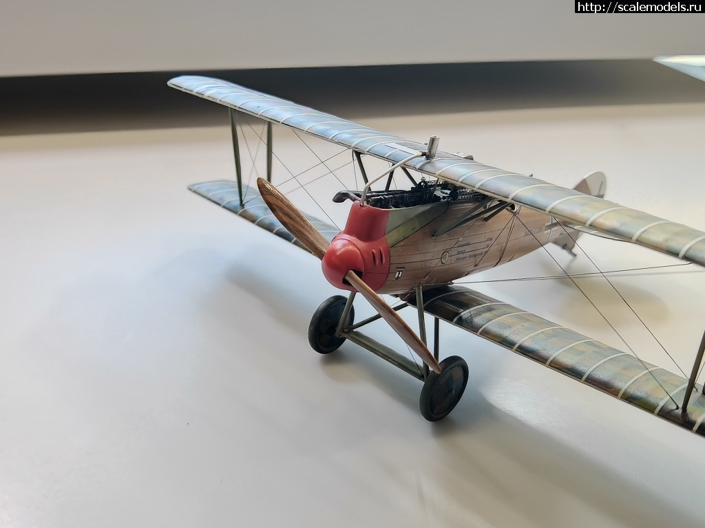1742903503_IMG_20250324_164629.jpg : #1872803/ Roland D.IVb 1/48 FLY !  