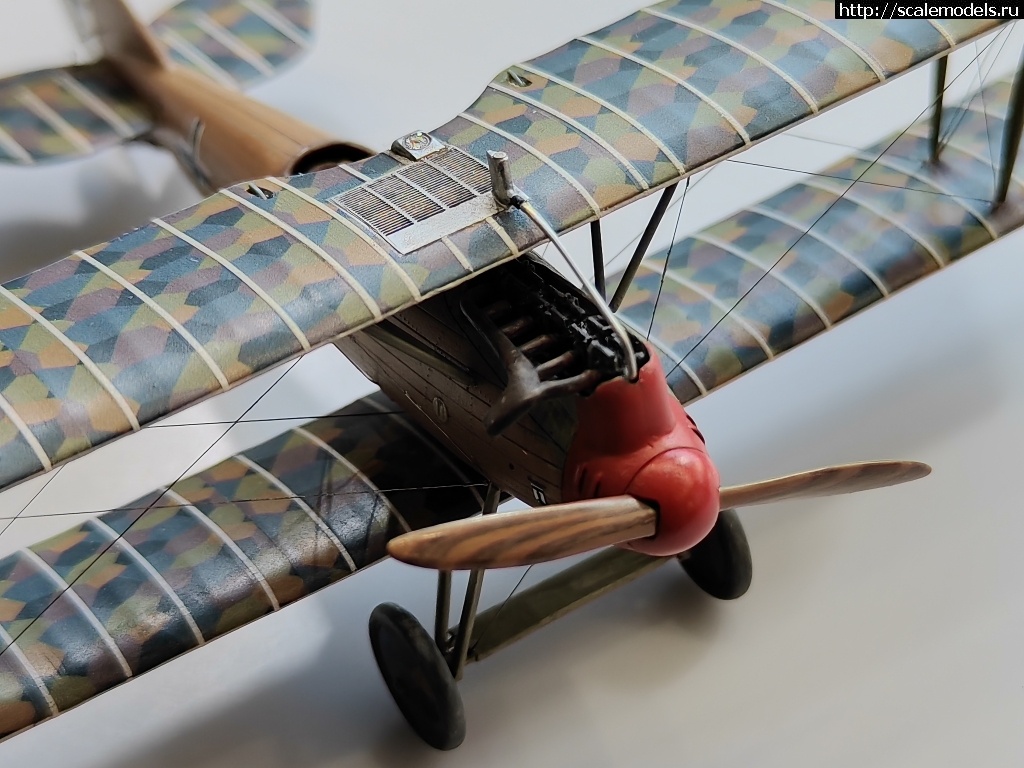 1742903521_IMG_20250324_164856.jpg : #1872803/ Roland D.IVb 1/48 FLY !  