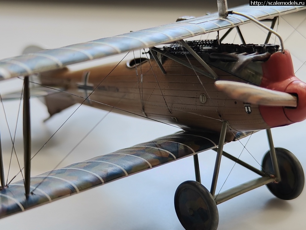 1742903527_IMG_20250324_164905.jpg : #1872803/ Roland D.IVb 1/48 FLY !  