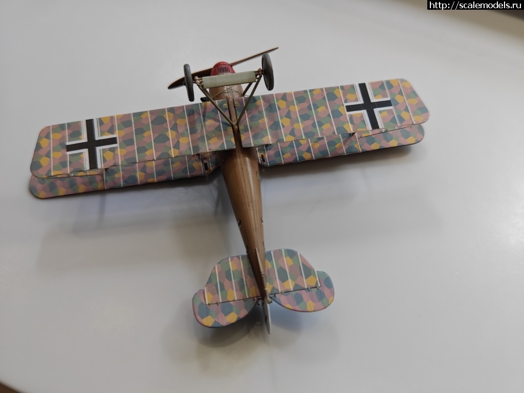 1742903530_IMG_20250324_164953.jpg : #1872803/ Roland D.IVb 1/48 FLY !  