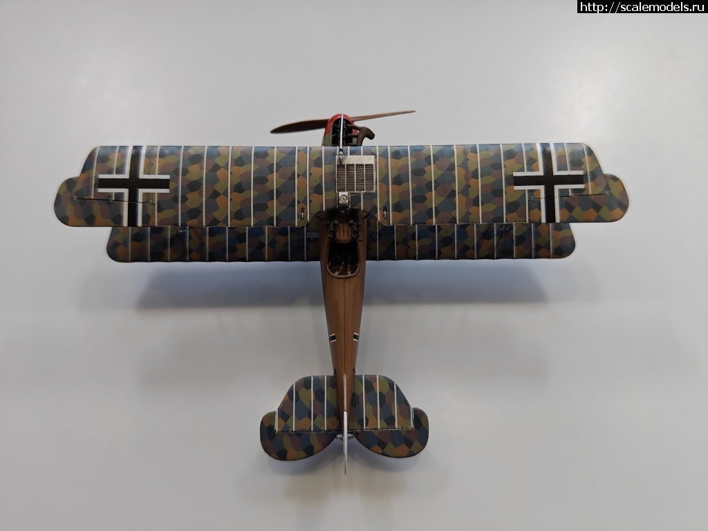 1742903543_IMG_20250324_165302.jpg : #1872803/ Roland D.IVb 1/48 FLY !  