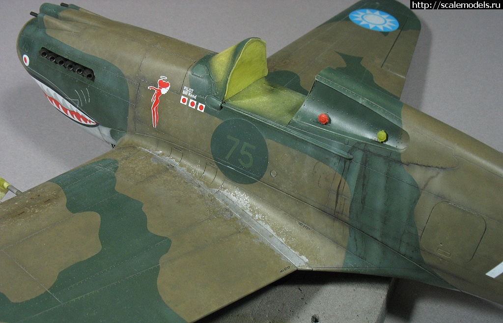 1743004823_IMG_4916.JPG : #1872973/ G.W.H 1/32 Flying Tigers Curtiss Hawk 81-A 2 !  