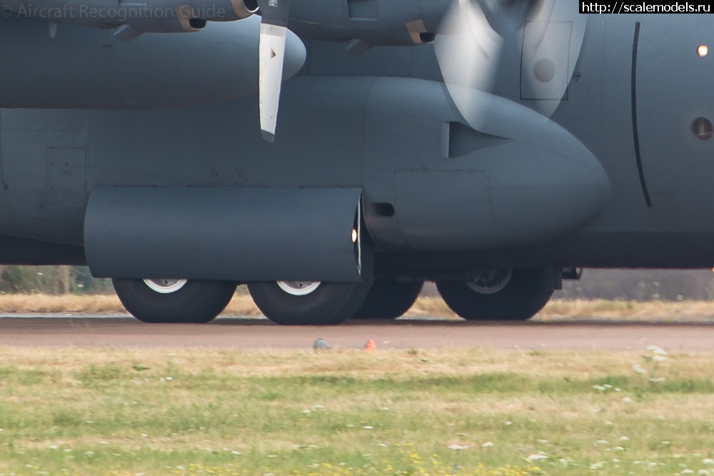 1743519086_c-130-gear.jpg : #1873855/ C-130H Hercules G.W.H 1/144  