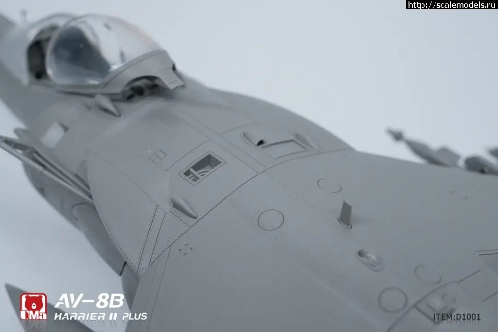 1743607078_img_8_1743606733548.jpg : #1873960/  AV-8B  UMa Model 1/48  