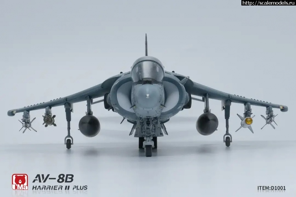 1743608410_img_64_1743608263712.jpg : #1873960/  AV-8B  UMa Model 1/48  